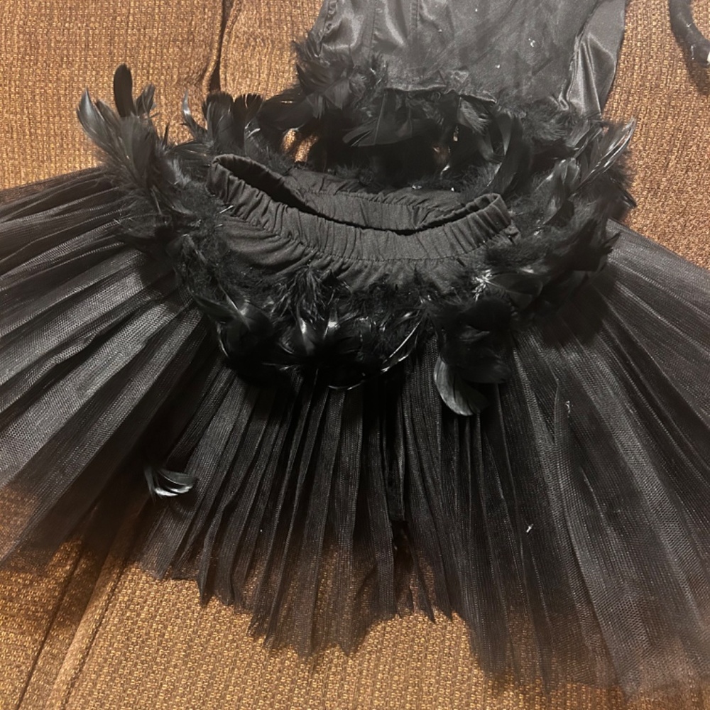 Black Swan Costume - Picture 3 of 6